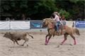 DSC09860-Edit