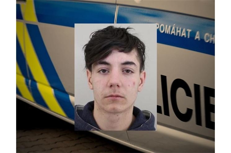 pátrání po domčovi