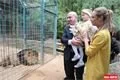 zoo_krest lvicata (16)