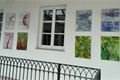 IMG_20200926_153323 (1)