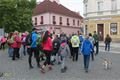 IMG_0316