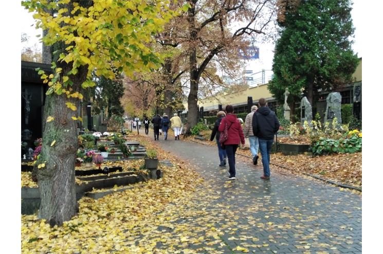 hrbitov dusičky Plzeň (1)