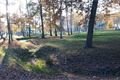 Park u zoo4