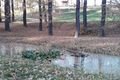 Park u zoo5