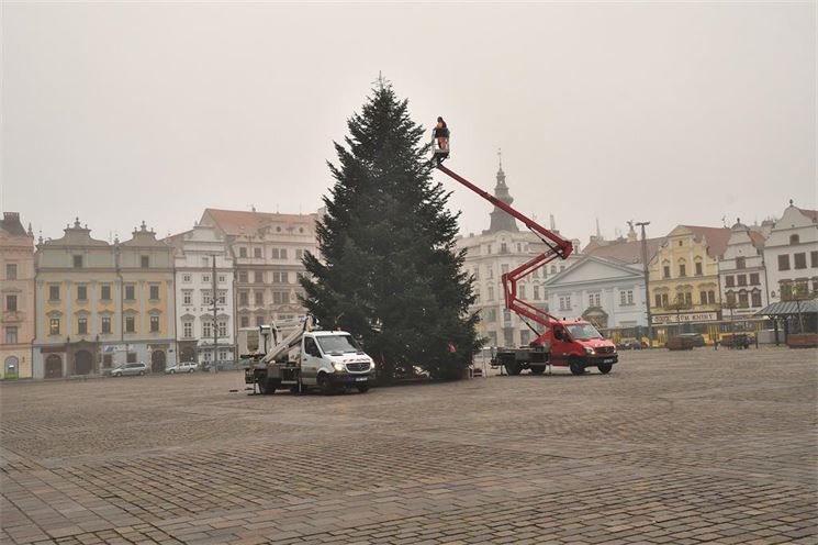 zdobení stromku