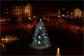 Vánoční strom Plzeň