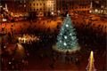 vánoční strom v Plzni