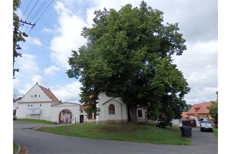 Černice Černice
