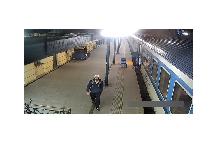 svědek svědek