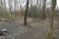 bezdomovci uklízeli1