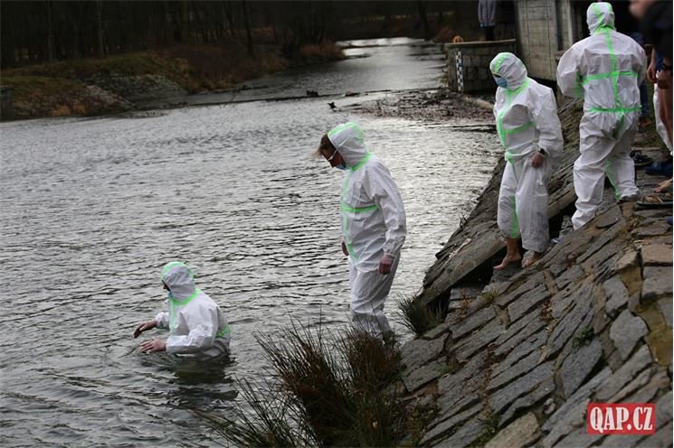 otužilci Hradiště (13) otužilci Hradiště (13)