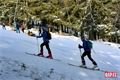 skialpinisté spicak foto QAP (1)