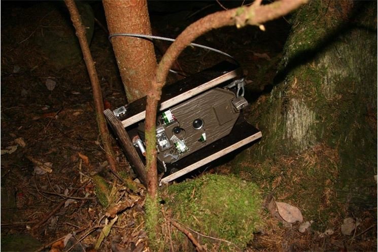 Fozbité fotopasti_NP Šumava4