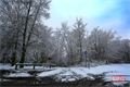 zima v Plzni foto QAP (7)