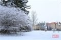 zima v Plzni foto QAP (14)