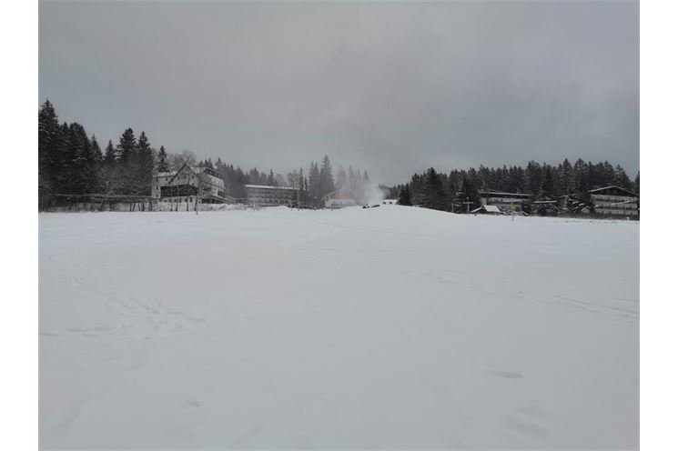 sirotek