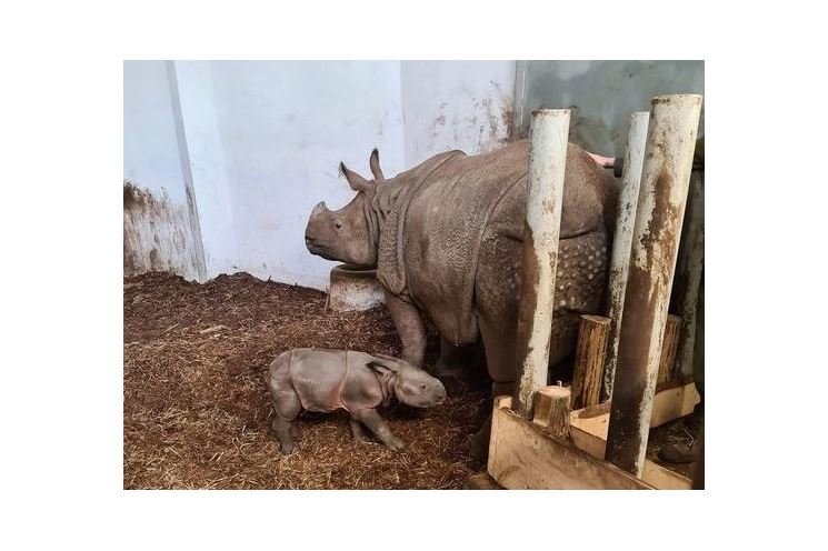 maruška matkou foto zoo Wroclav