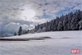 šumava foto Milan Janoch _QAP (1)