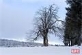šumava foto Milan Janoch _QAP (2)