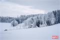 šumava foto Milan Janoch _QAP (5)