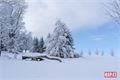 šumava foto Milan Janoch _QAP (6)