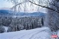 šumava foto Milan Janoch _QAP (3)