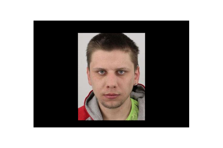 Šeffl David Šeffl David