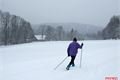 ŠUMAVA SRNI FOTO QAP (4)