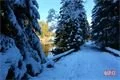Velké javorské jezero foto QAP (14)
