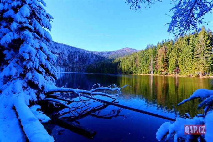 Velké javorské jezero foto QAP (16)