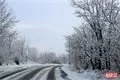 sníh v plzni (5)