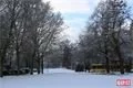 sníh v plzni (11)