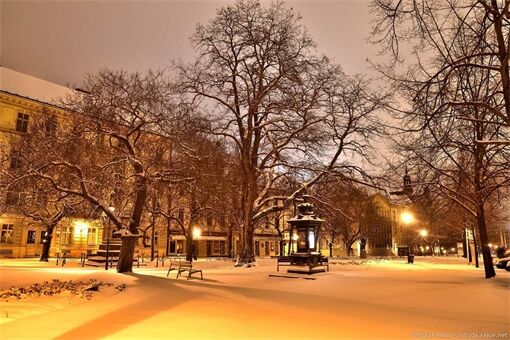 DSC_4442_00001 DSC_4442_00001