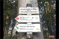 Zelenovské rybníky okres Domažlice