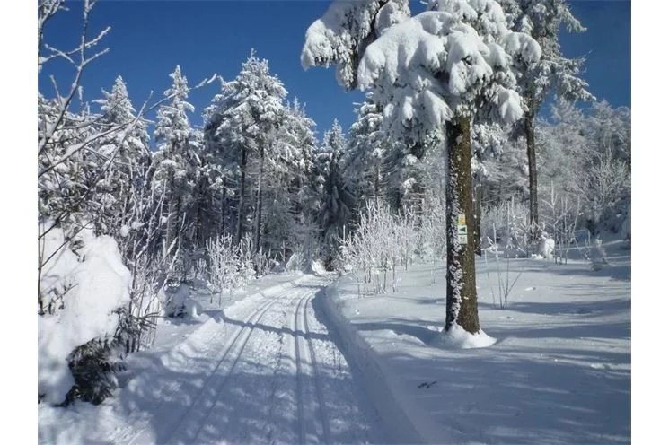 QAP foto _ bezecke stopy 