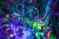 210512_Tajuplny_les_2