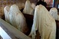 IMG_0868 – kopie