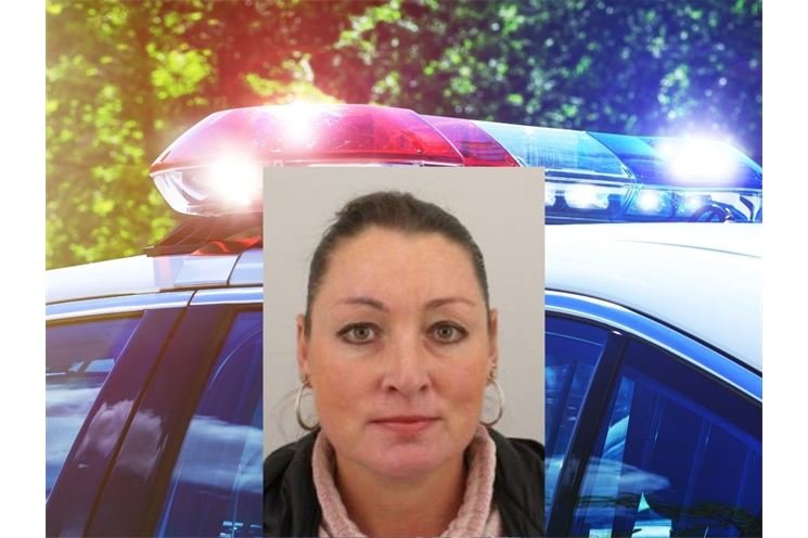 petra vokáčová petra vokáčová