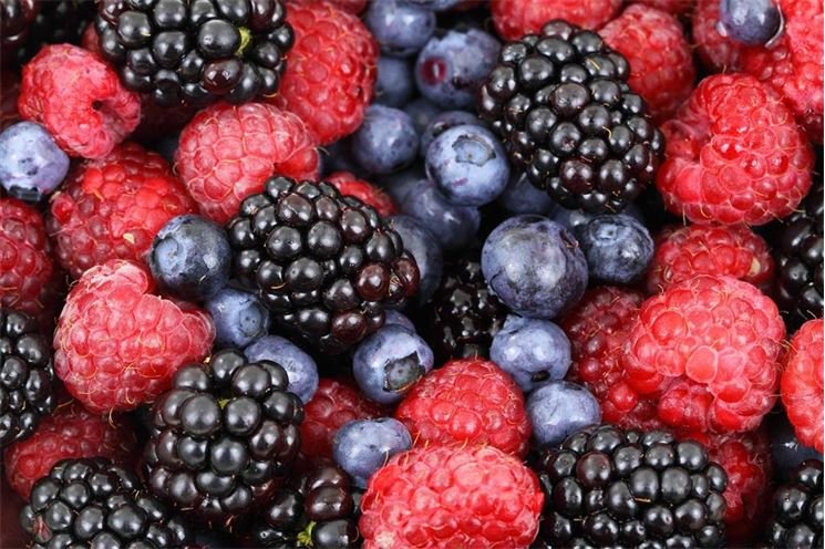 berries-2277_1920 berries-2277_1920