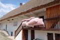 210712_Dvur_u_matousu_1