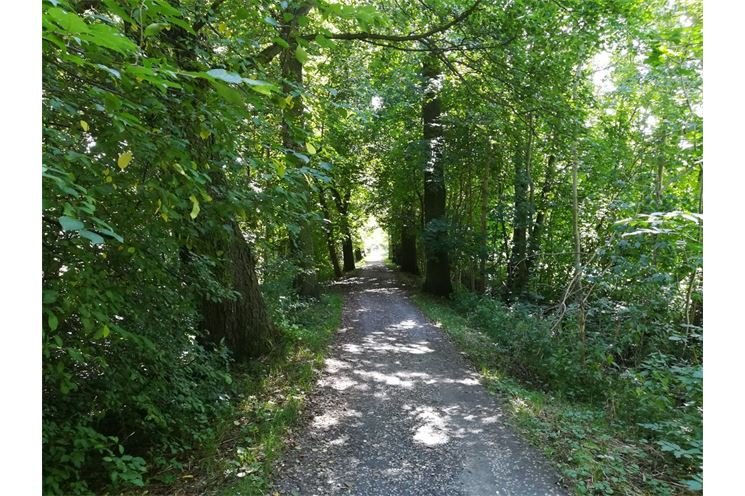 kilometrovka foto SVSMP (2)