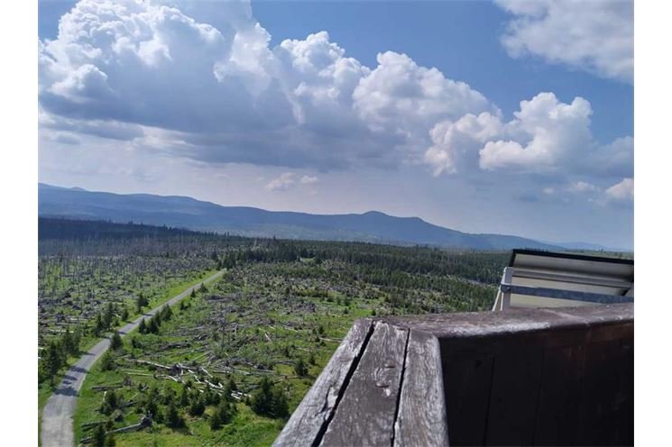 polednik-09062021_8
