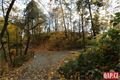 Lobezský park foto QAP_cz (21)