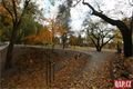 Lobezský park foto QAP_cz (23)
