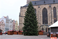 Vánoční strom_foto QAP (2)