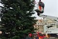 vanocni strom plzen2