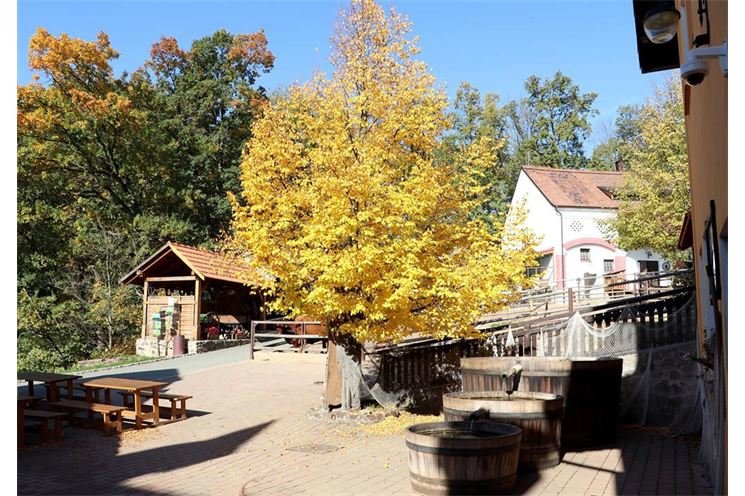 Luftnerka_Zoo Plzeň fb