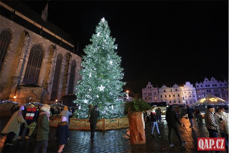 Vánoční strom Plzeň foto QAP (1)