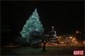 Vánoční strom Slovany QAP_cz (1)
