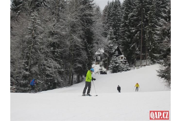 špičák _foto QAP (5) špičák _foto QAP (5)